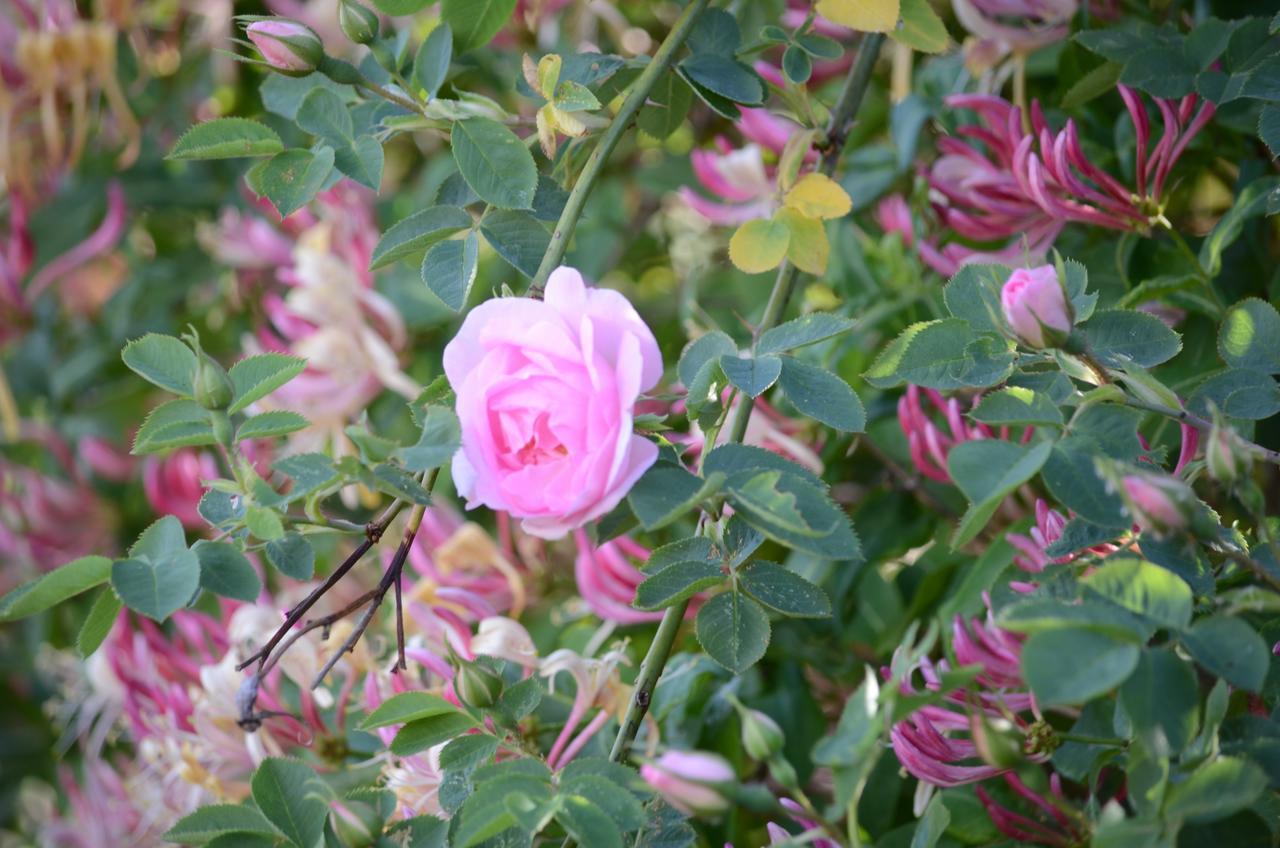 Degebergagarden B&B מראה חיצוני תמונה